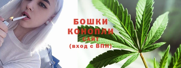 PSILOCYBIN Волосово