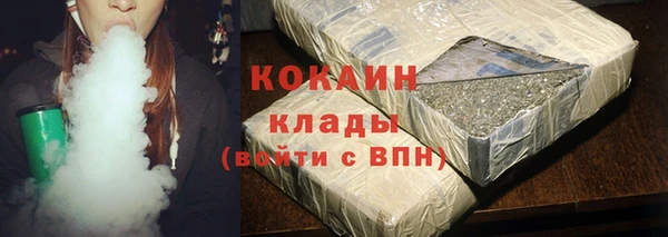 PSILOCYBIN Волосово