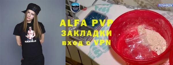 PSILOCYBIN Волосово