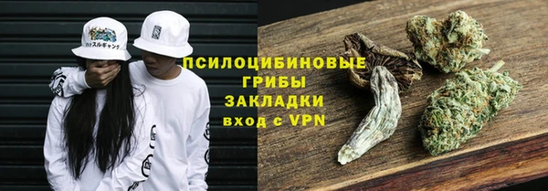 PSILOCYBIN Волосово